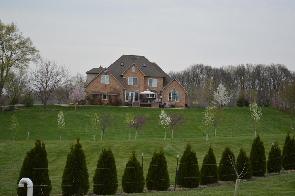 Rose Cottage Bed & Breakfast Fairplay Exterior photo